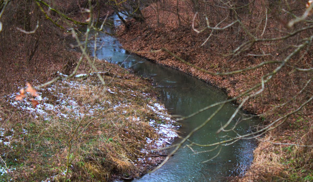 Mérce-patak Beregújfalu