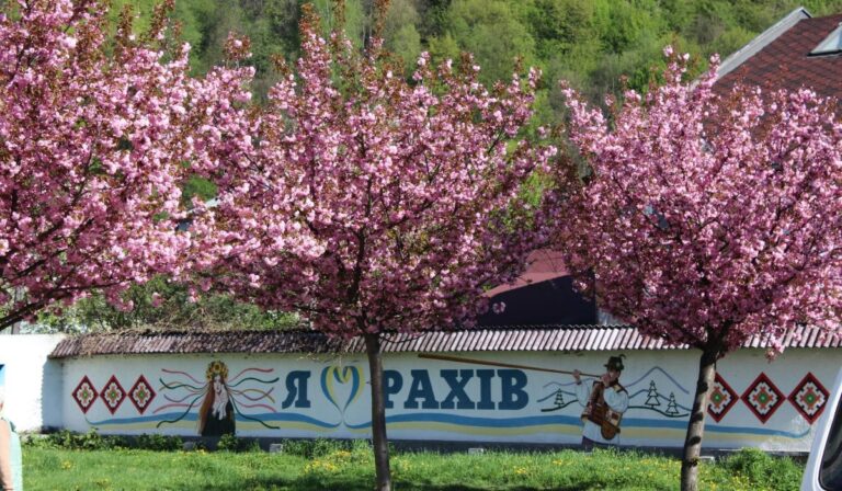 Rózsaszínben pompázik Rahó és Ökörmező központja