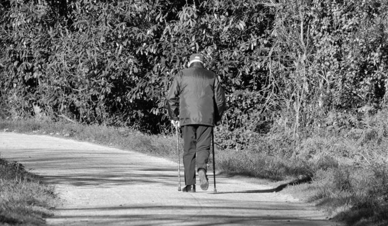 Vári Fábián László: Mikor a gyerek