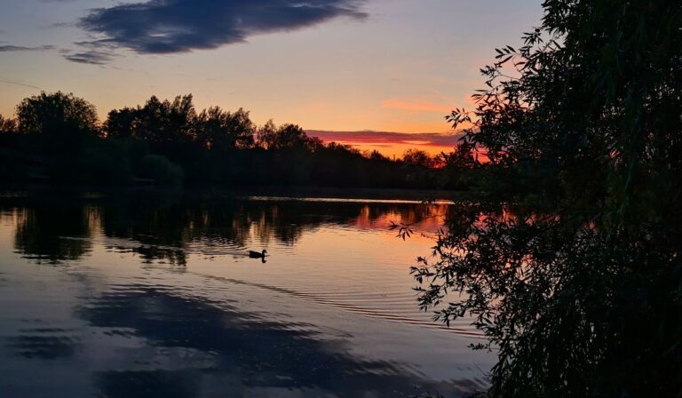 A természet festővászna
