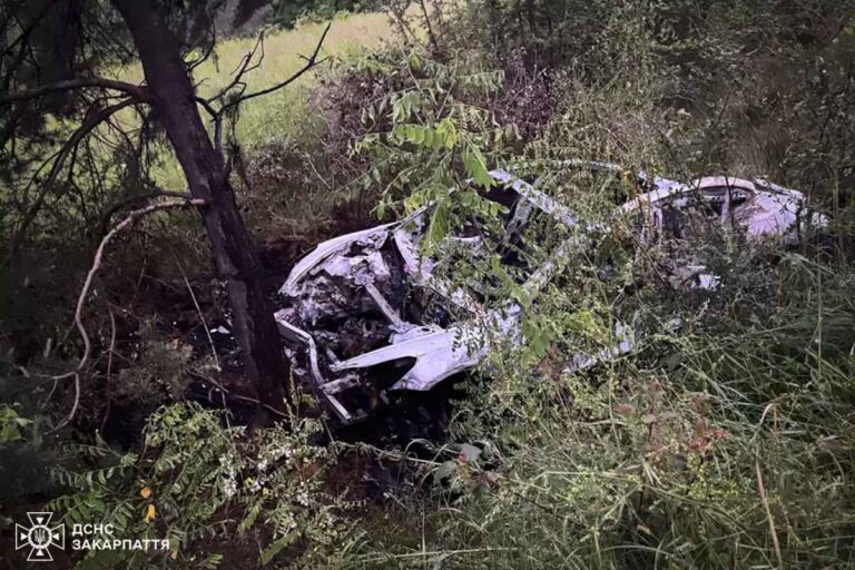 A fának ütközött, majd teljesen kiégett egy Tesla a Huszti járásban