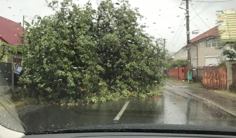 Vihar Kárpátalján: fákat dönt a szél kedden is helyenként