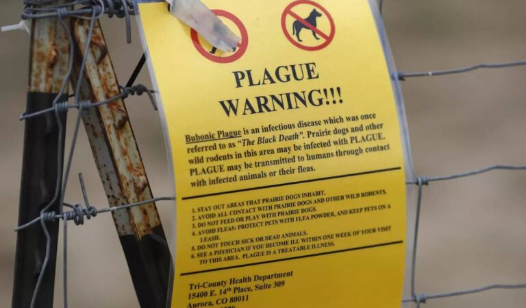 Halálos tüdőpestis ütötte fel a fejét Észak‑Amerikában