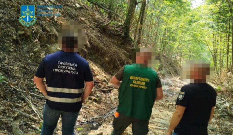 Illegális fakitermelés a Técsői járásban