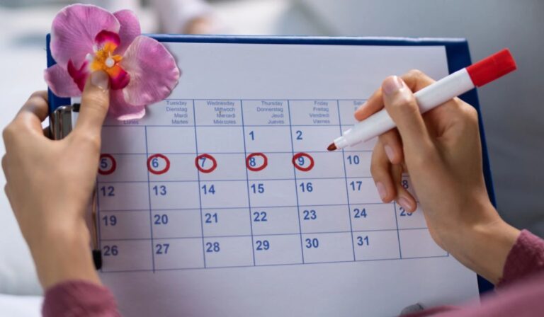 Hogyan működik a női menstruációs ciklus?