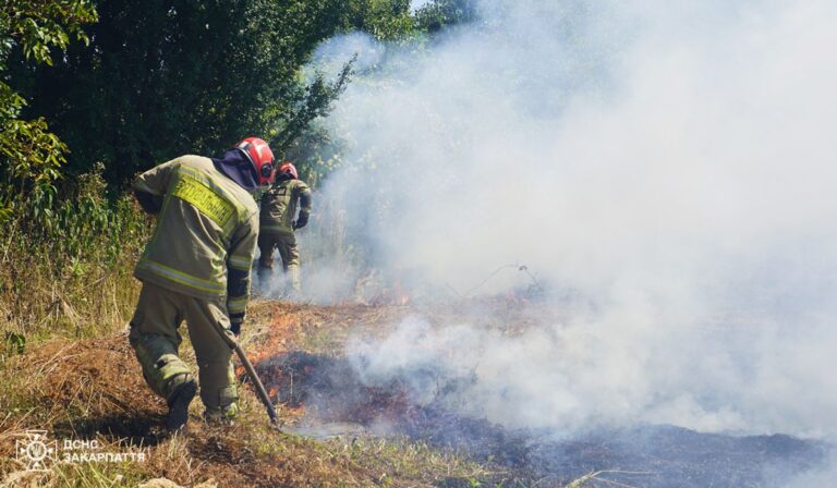 Hét tűzeset volt egy nap alatt Kárpátalján