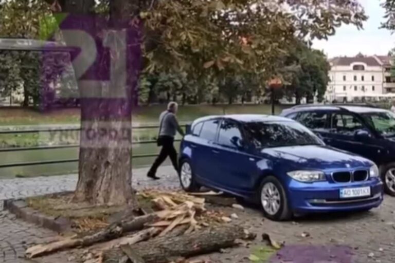 Letörtek a faágak az erős szél miatt Ungváron