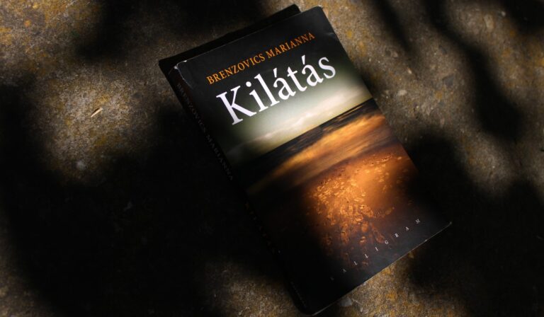 Brenzovics Marianna Kilátás