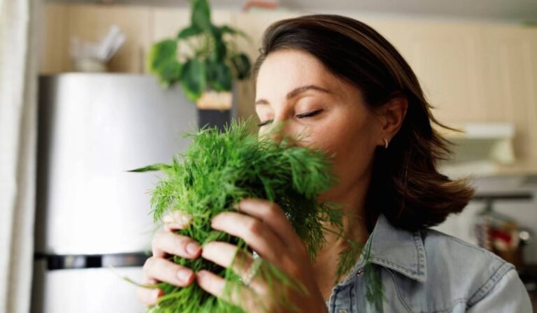 A kapor jótékony hatásai