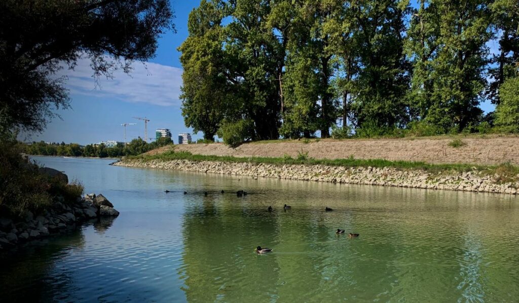 előtérben a természet