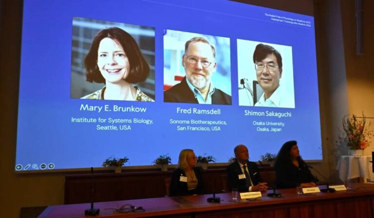 Két amerikai és egy japán tudós kapja idén az orvosi-élettani Nobel-díjat
