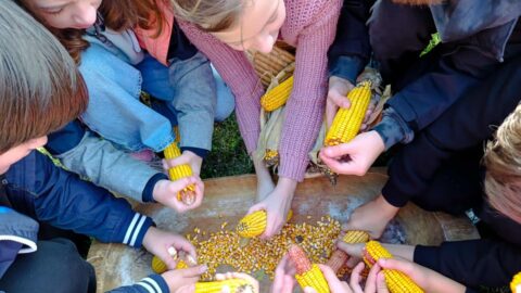 Foglalkozás, Nagyberegi Tájház