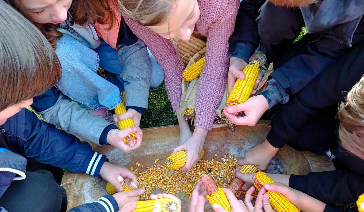 Foglalkozás, Nagyberegi Tájház