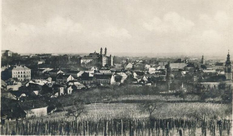 Kárpátalja anno: az ungvári disznóhizlaldai nyomortelep