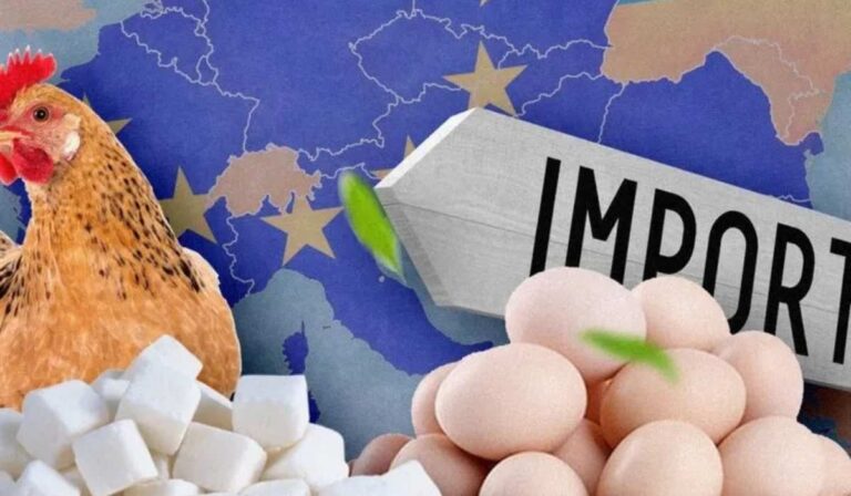 Rekordmennyiségű európai agrártermék érkezett Ukrajnába 2025-ben