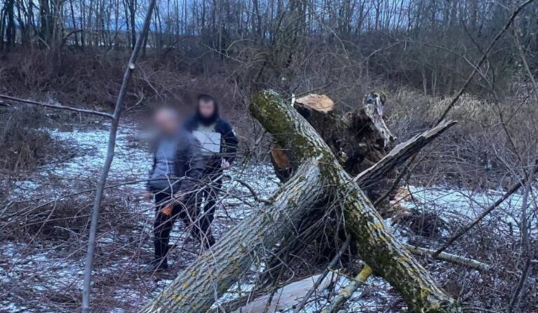Nyolcéves kislány vesztette életét a Munkácsi járásban
