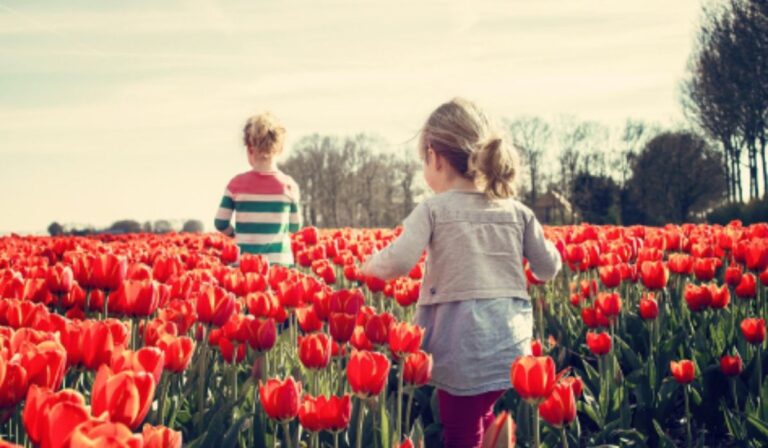 Kincses Kultúróvoda 2026 – Pályázat