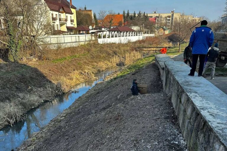 Megkezdődött a Vérke partjának megtisztítása Beregszászban