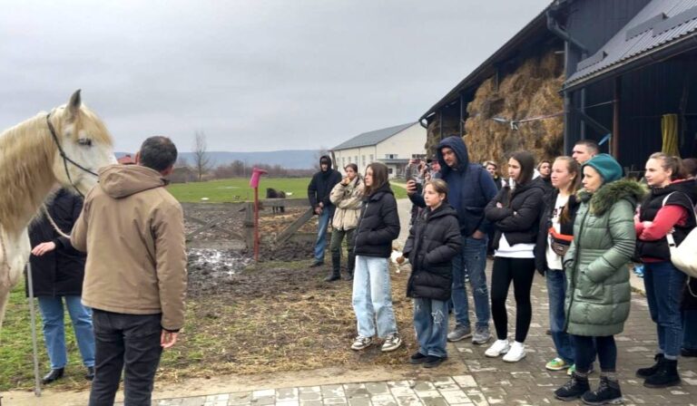 Lezajlott a VII. Potápi Árpád János Lovas Kollégium