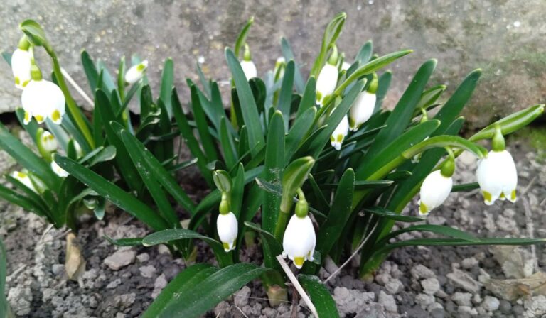 Tavasz van! Gyönyörű!