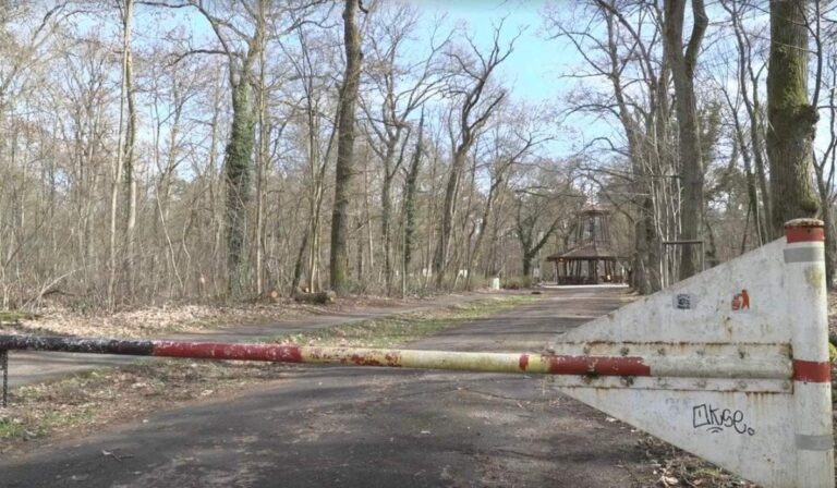 Meggyilkoltak egy 19 éves ukrán lányt Mannheimben