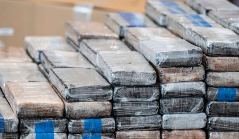 Tucatnyi kábítószerkereskedőt állítottak elő több országban