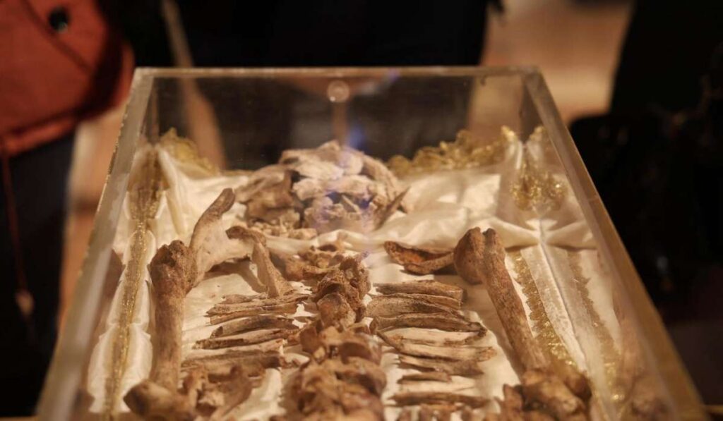 Szent Ferenc földi maradványai