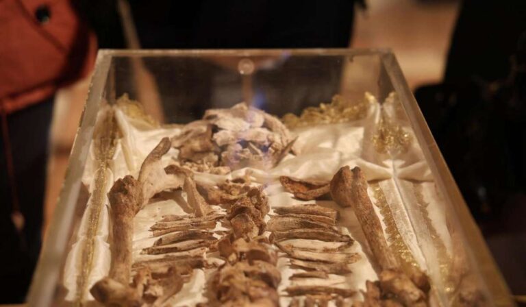 Szent Ferenc földi maradványai