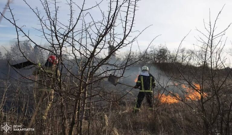 Év eleje óta 76 tűzeset volt az ökoszisztémában Kárpátalján