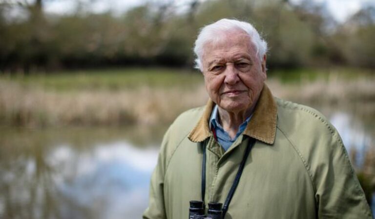 Attenborough 100 – Természetfotó pályázat