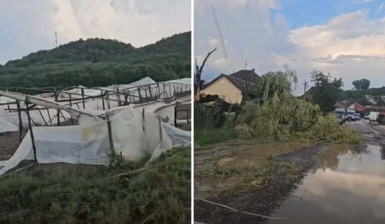 Fákat döntött ki, tetőket rongált meg a vihar Kárpátalján